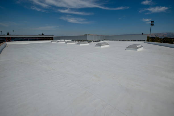 Best Asphalt Shingle Roofing  in Saxonburg, PA